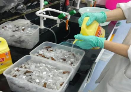 新人進實驗室，為什么先刷瓶子？