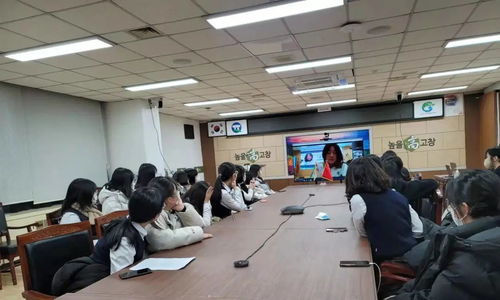 2021中韓學(xué)生線上文化交流活動在棗莊市實驗學(xué)校成功舉辦市場營銷策劃方案